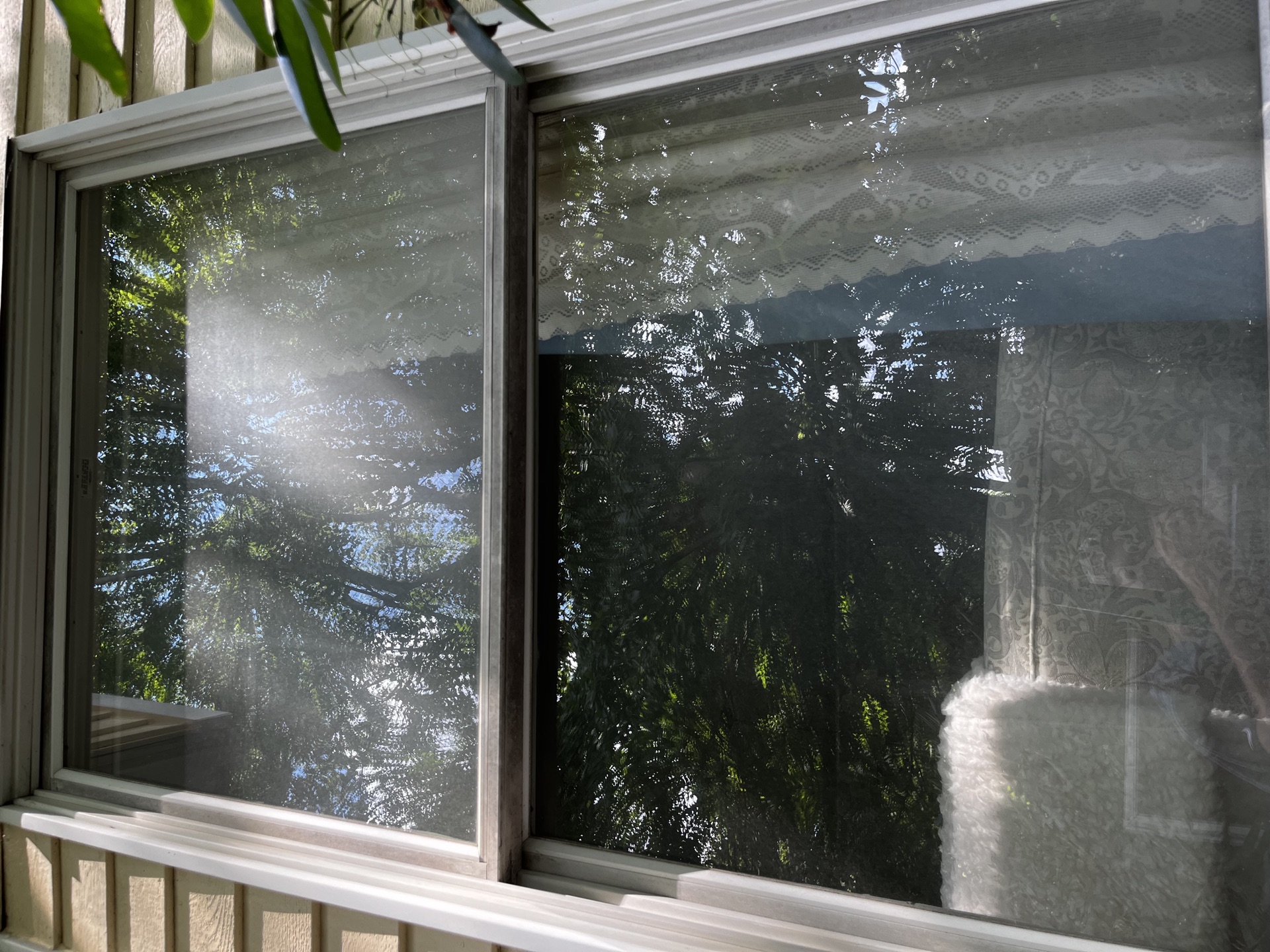After window cleaning