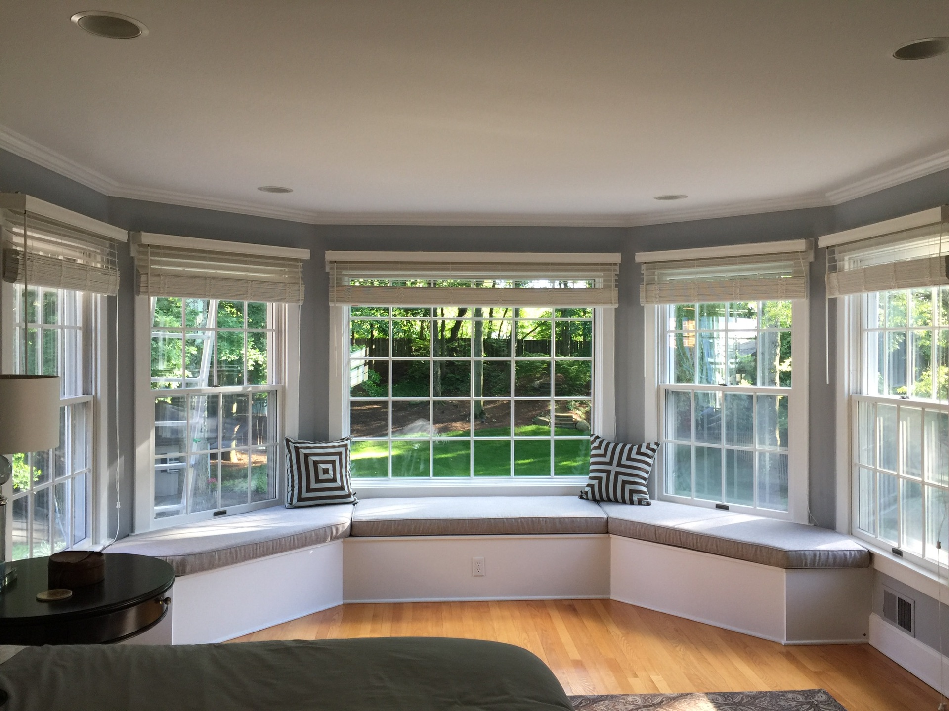 View through clean windows into a lush backyard